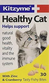 KITZYME HEALTHY CAT 30TABS
