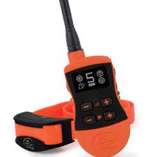 SPORTDOG INT. 800M TRAINER