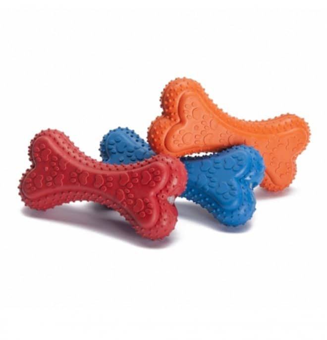 SQUEAKY BONE