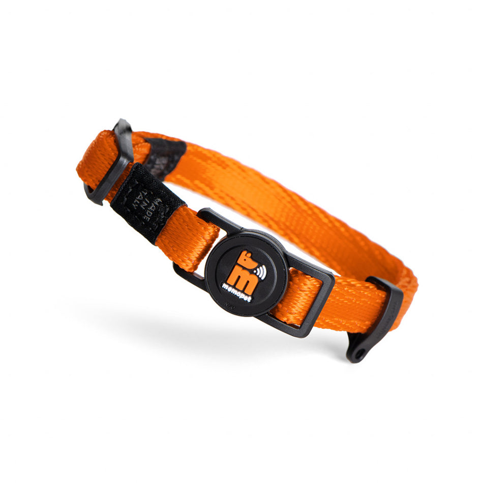 COLLAR ORANGE NYLON CAT