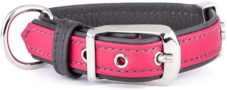 FIRENZE LEATHER 35-45 COLLAR