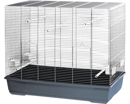 KLORIS CAGE