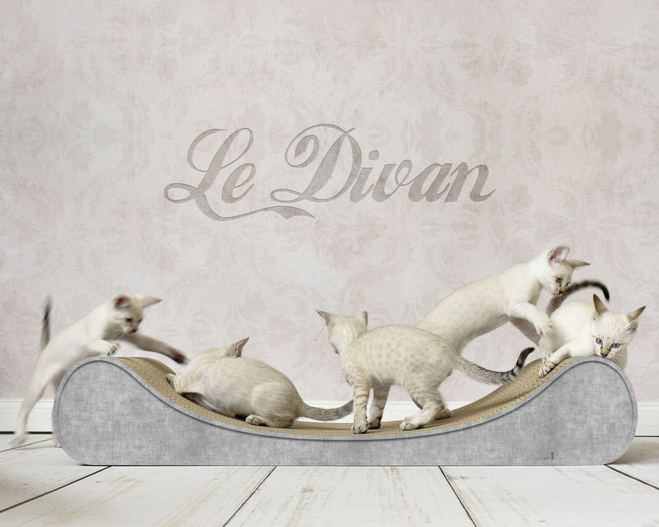 LE DIVAN DORE'