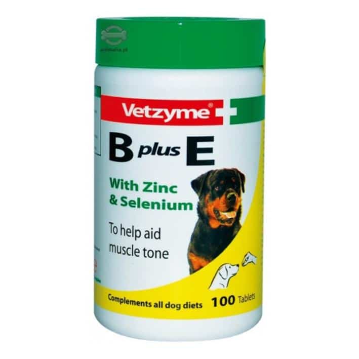 VETZYME B PLUS E X 100 TABS