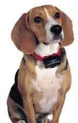 PBC19 10765 BARK CONTROL COLLAR