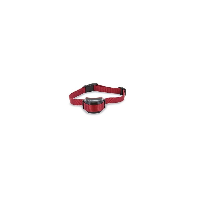 PIF19-14186 STAY+PLAY STUBBORN DOG COLLAR