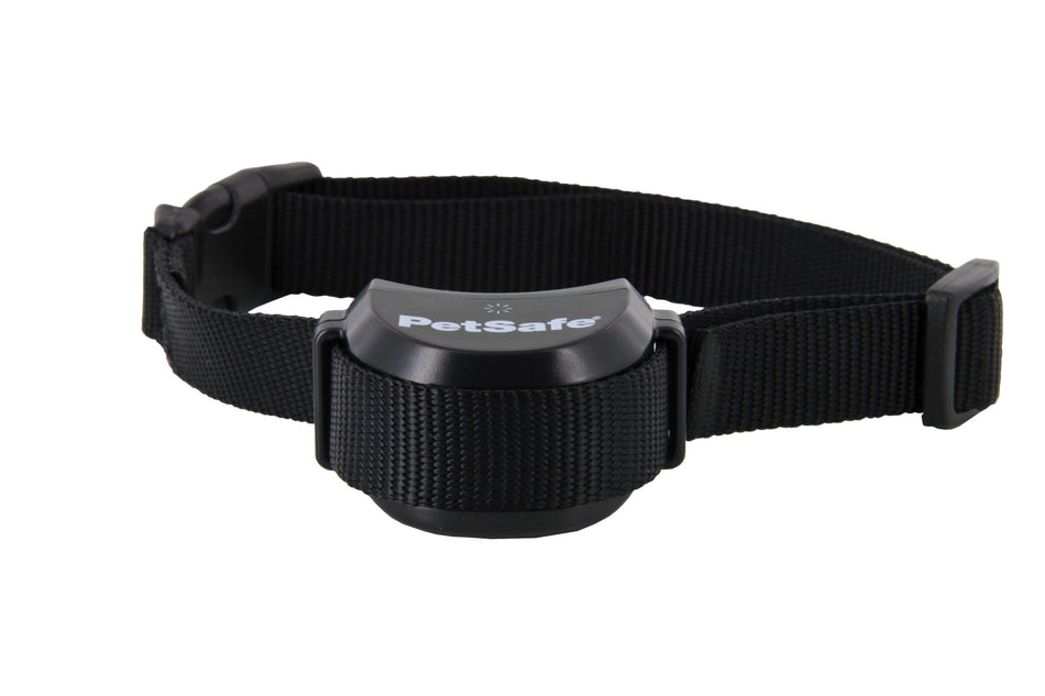 PIF19-14011 STAY+PLAY EXTRA RECIEVER