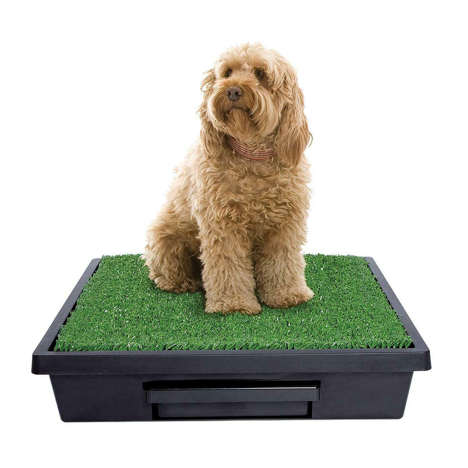 PWM19-14710 PET LOO MEDIUM