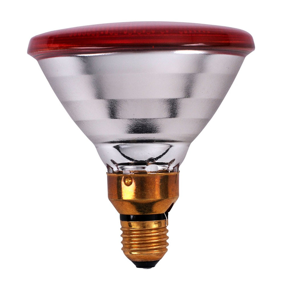 POWER HEAT INFRA RED LAMP 100WATTS