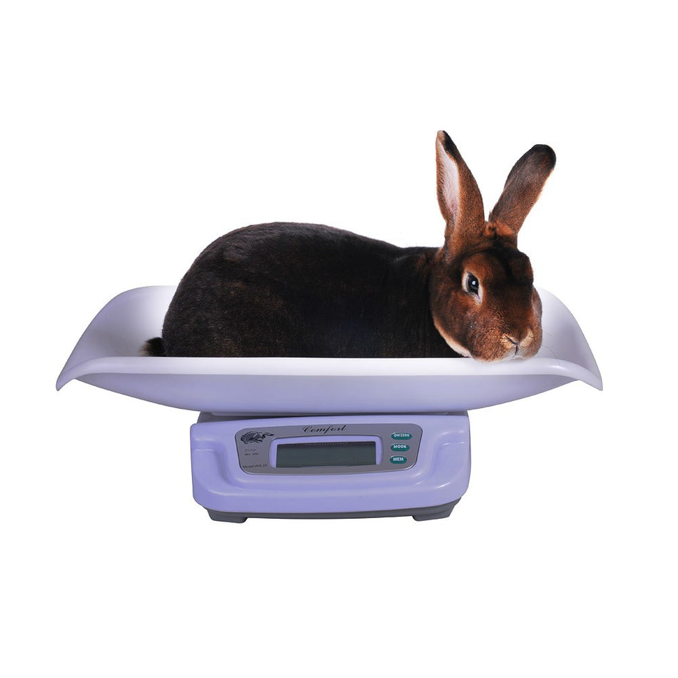 OLBA DIGITAL RABBIT SCALE MAX 20KG