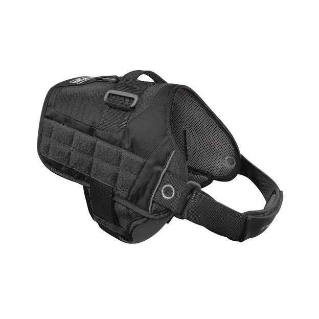 RSG TOWNIE HARNESS MED