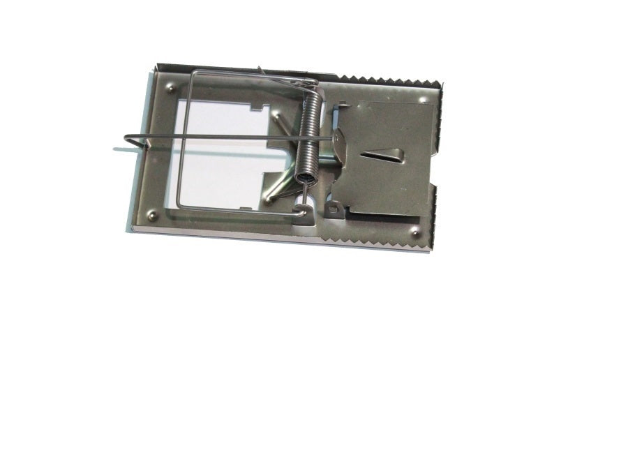 RAT TRAPS FLAT