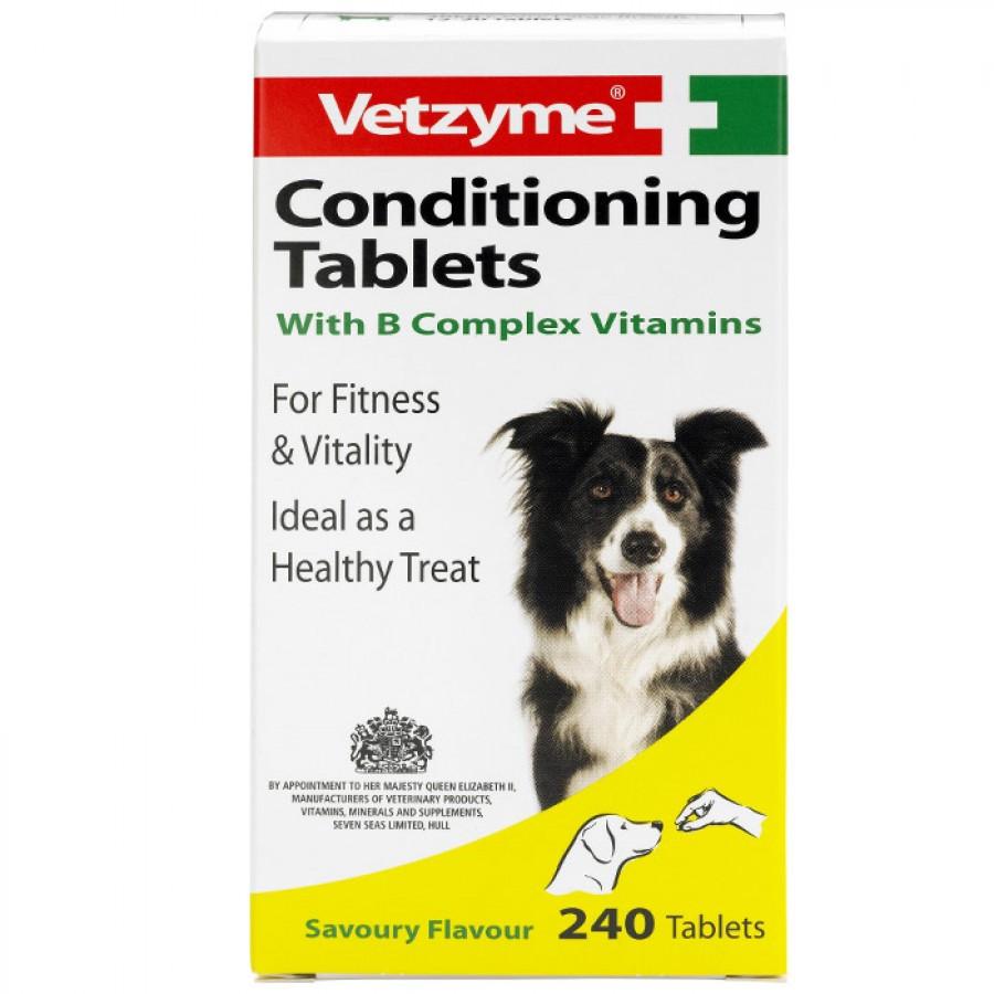 VETZYME CONDITIONING TABS X240