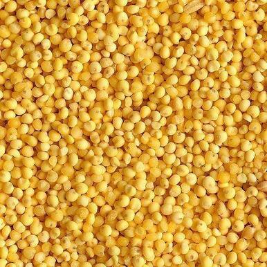 KIKI YELLOW 9 MILLET 25KG
