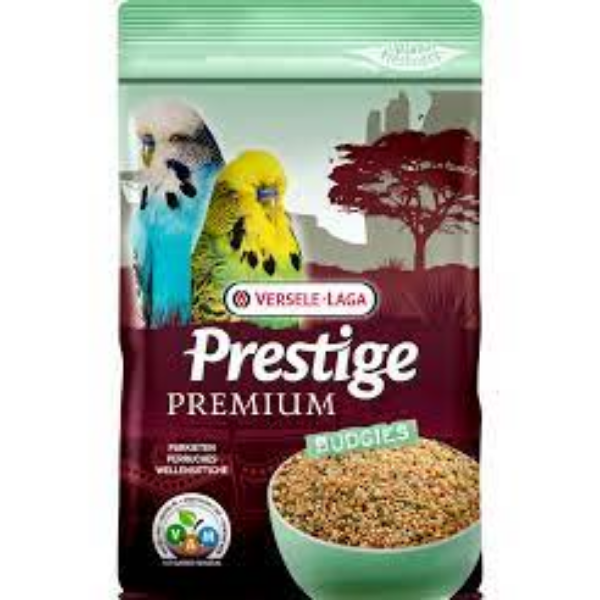 Verselelaga Prestige Budgie