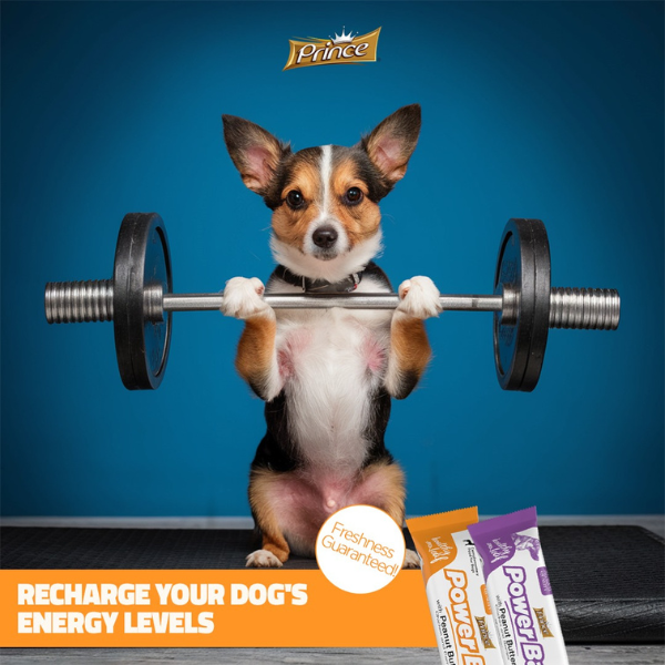 Prince Power Bar, 40g