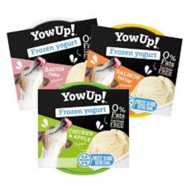 Yowup Frozen Yogurt, 110g
